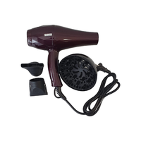 Mc Phon Professionale HD-2200 ION , 2200W Ion Con Diffusore e 2 Beccucci