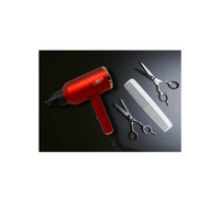 Mc Phon Professionale HD-1800 AC, 1800W Manico Pieghevole Con Diffusore e 2 Beccucci - NERO